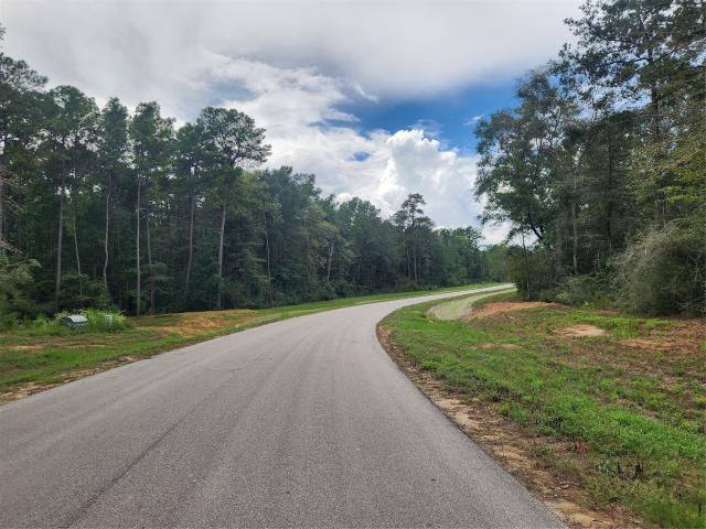 Land for sale in Willis, Texas