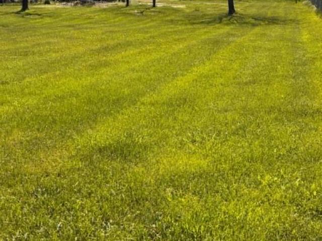 Land for sale in Maryland
