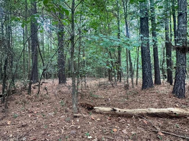Land for sale in Bowman, Elbert County