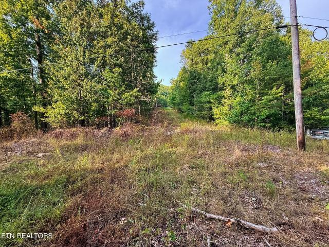 Land for sale in Mill Creek, Sunbright
