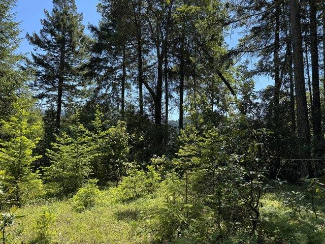 Land for sale in Oregonia