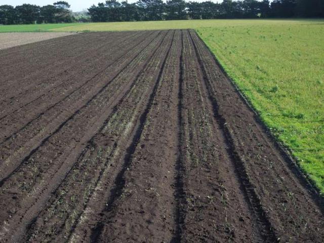 Property for sale in Rangitikei District