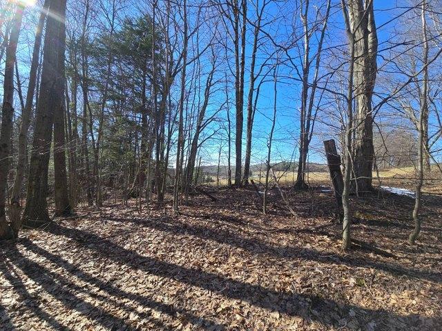 Land for sale in Harpursville, New York