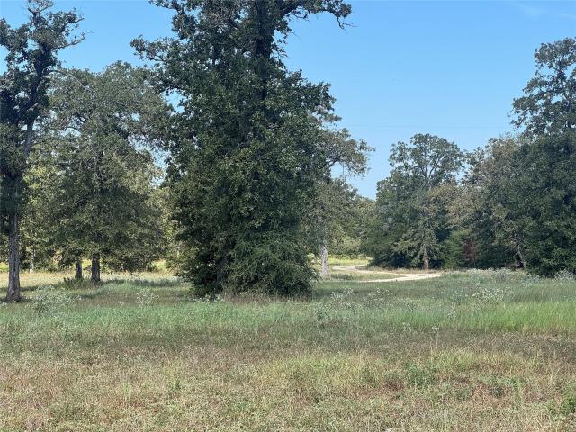 Farm for sale in Rosanky, Smithville