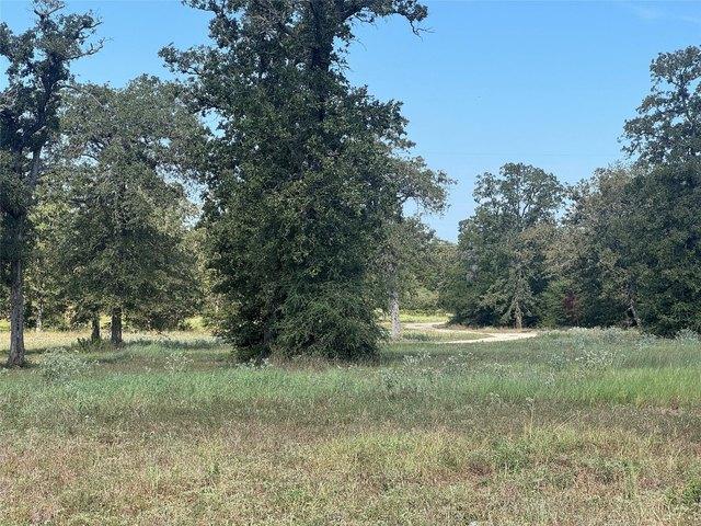 Farm for sale in Smithville, Bastrop County