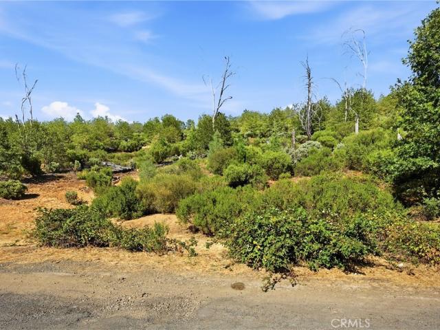 Land for sale in Lake, California