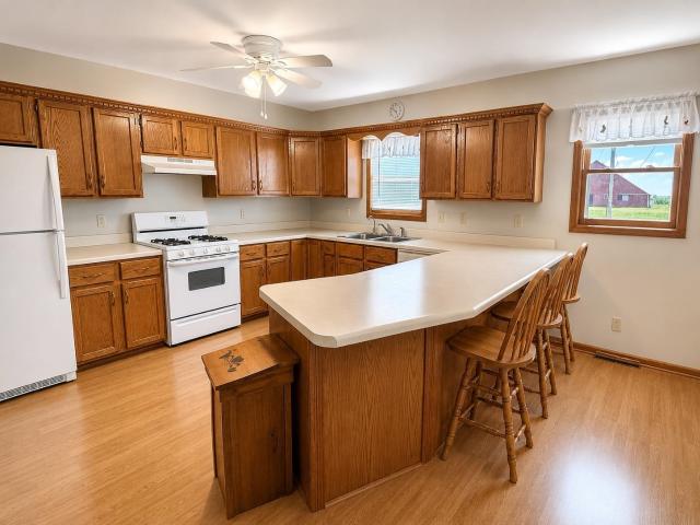 House for sale in Forreston, Illinois
