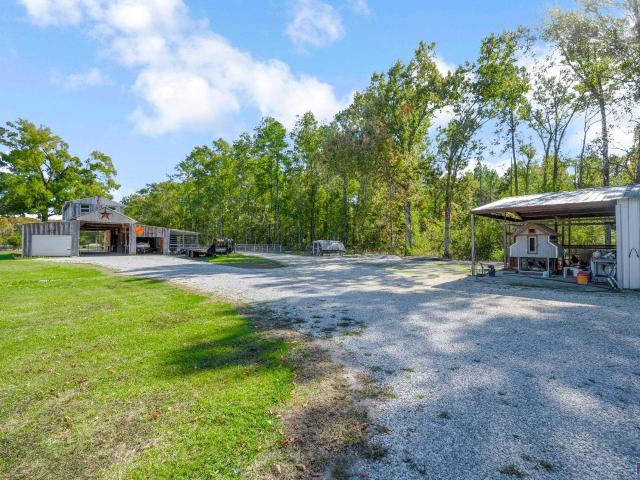 Land for sale in Maurepas, Louisiana