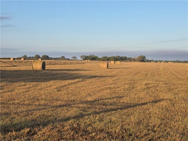 Land for sale in San Patricio, Texas