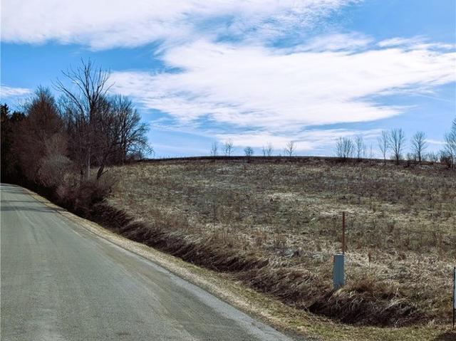 Land for sale in Alma, New York