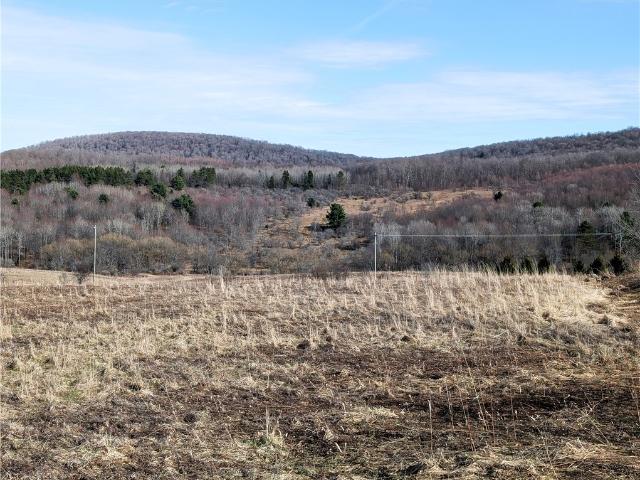 Land for sale in Alma, New York