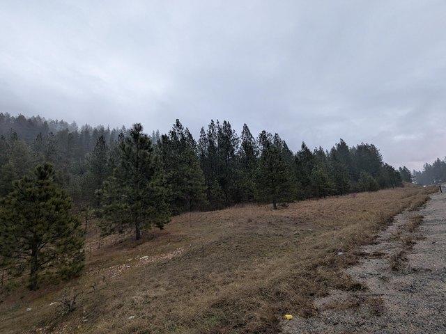 Land for sale in Chewelah, Washington
