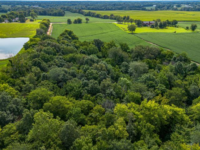 Land for sale in Kevil, McCracken County