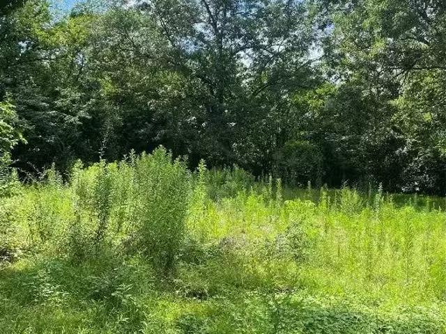House for rent in Selma