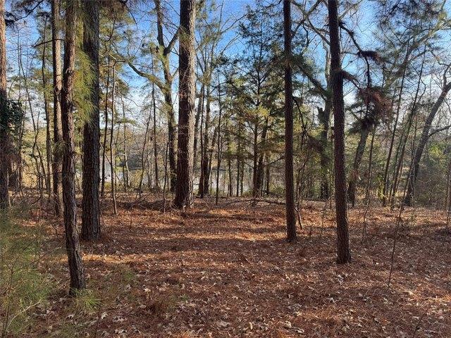 Land for sale in Wood, Texas