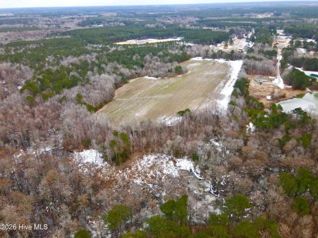 Land for sale in Windsor, Bertie County