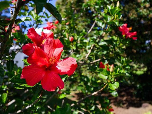 House for sale in Maungatapere, Northland