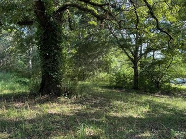 Land for sale in Carbon Hill, Alabama