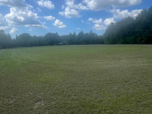 Land for sale in Pelion, Lexington County