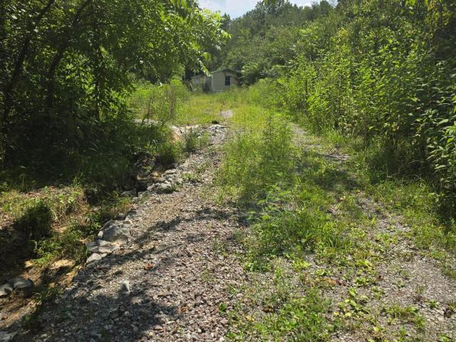 Land for sale in Tennessee