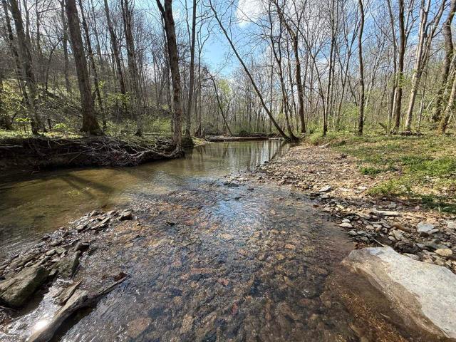 Land for sale in Adolphus, Kentucky