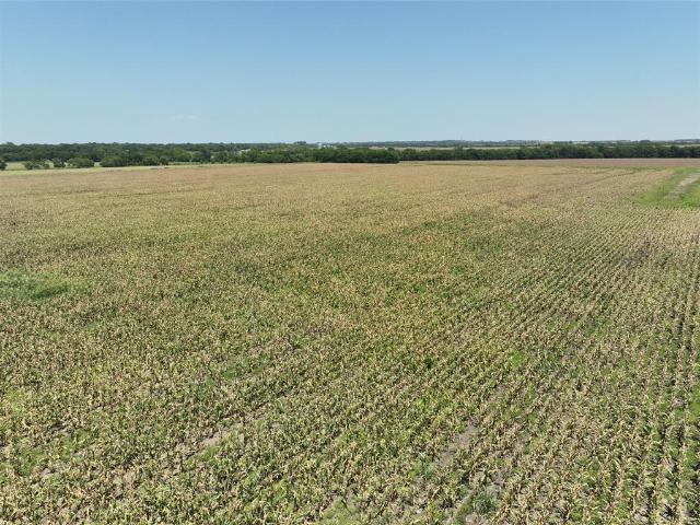 Land for sale in Lamar, Texas