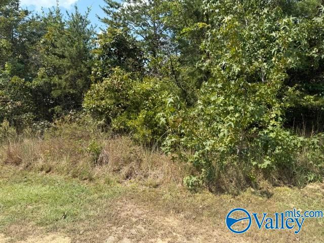 Land for sale in Alabama