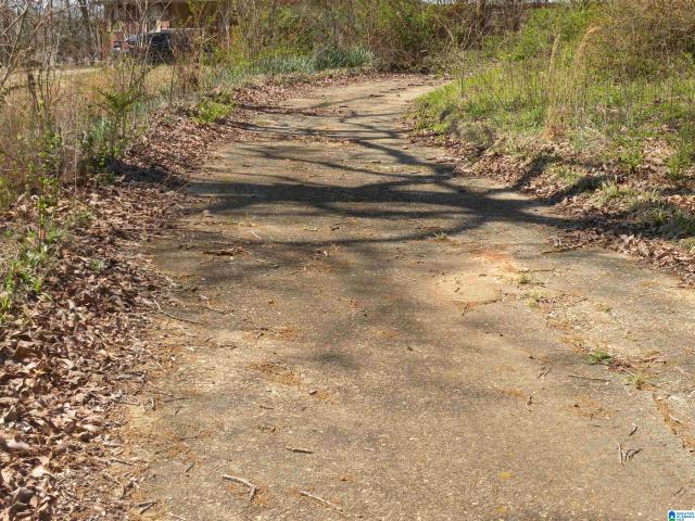Land for sale in Alpine, Alabama