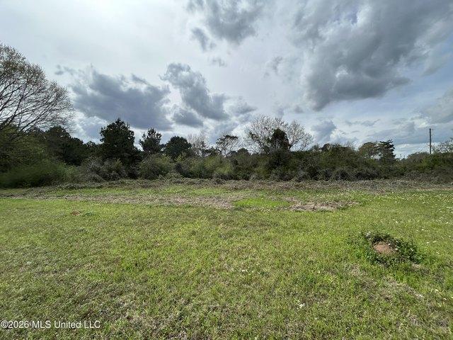 Land for sale in Foxworth, Mississippi