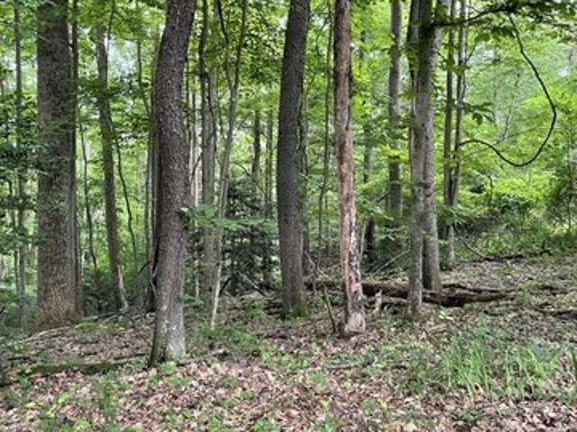 Land for sale in Fayetteville, West Virginia