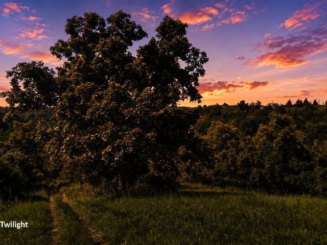 Farm for sale in Mount Olivet, Kentucky