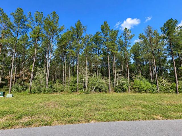 Land for sale in Willis, Texas