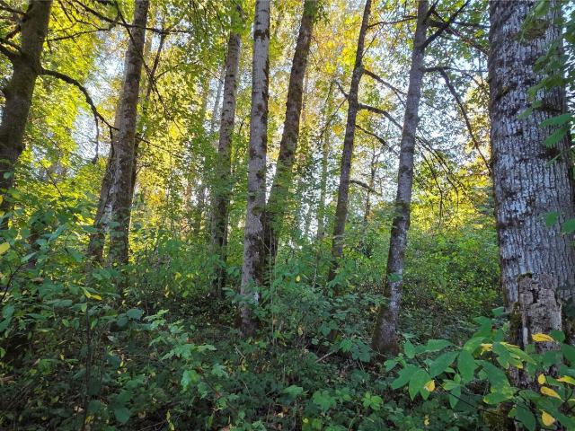 Land for sale in Maple Hills, Renton
