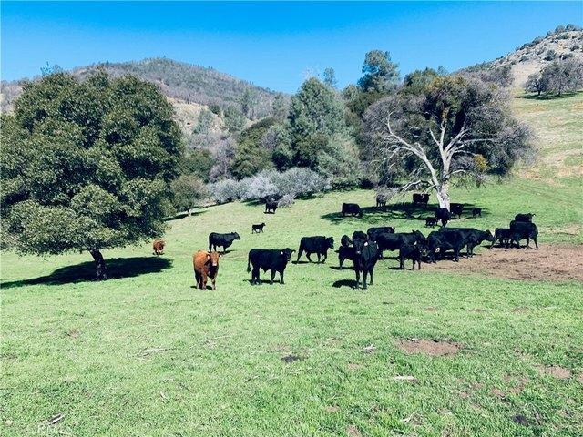 Land for sale in Mariposa, California