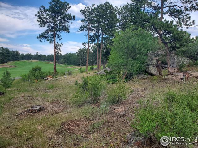 Land for sale in Red Feather Lakes, Colorado