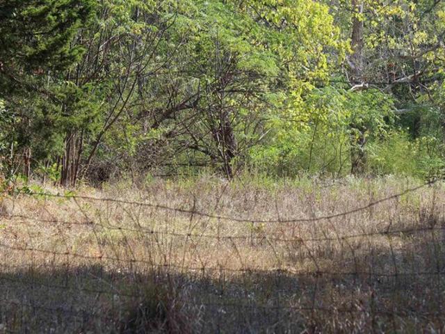 Land for sale in Gladewater, Gregg County