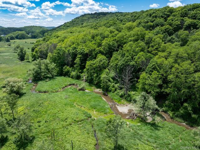 Land for sale in Pine Plains, New York