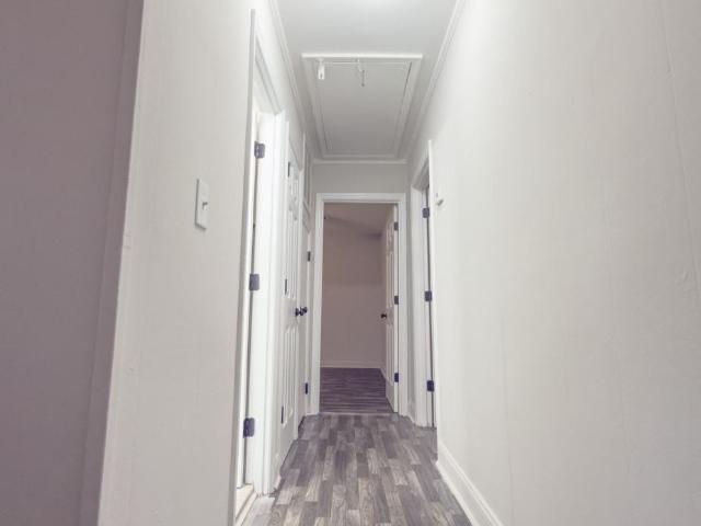 Apartment for rent in Charleston, South Carolina