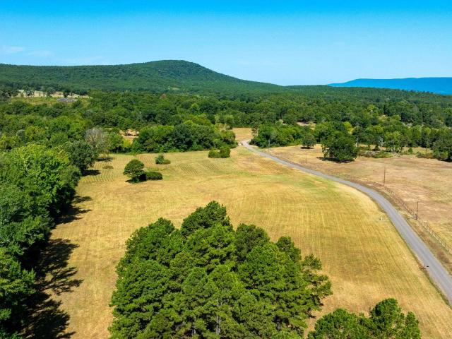 Land for sale in Danville, Yell County