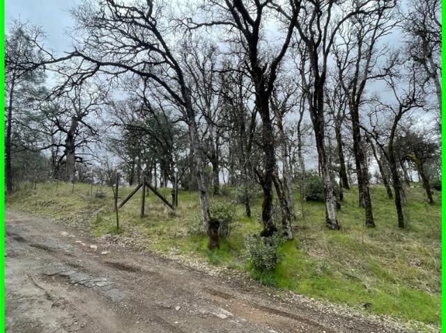 Land for sale in Lake, California