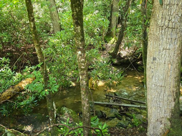 Land for sale in Hiawassee, Georgia