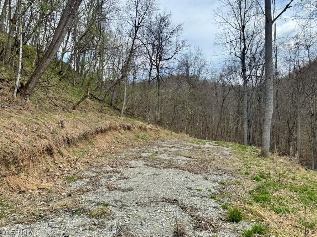 Land for sale in West Virginia