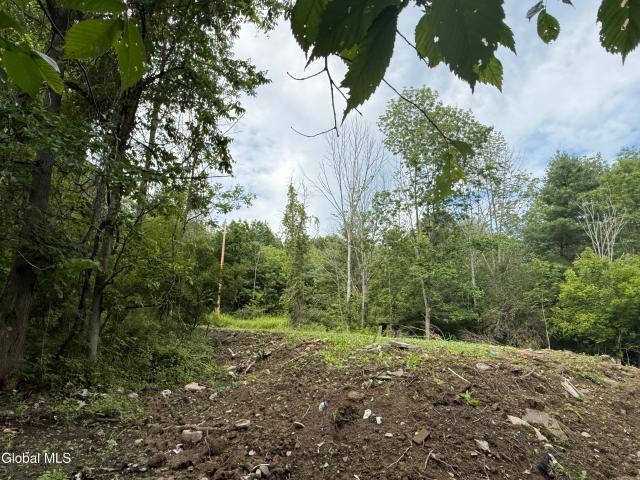 Land for sale in New York
