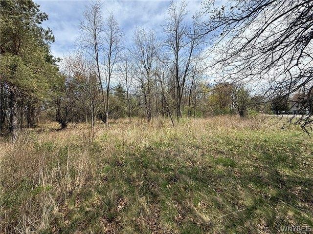 Land for sale in Niagara, New York