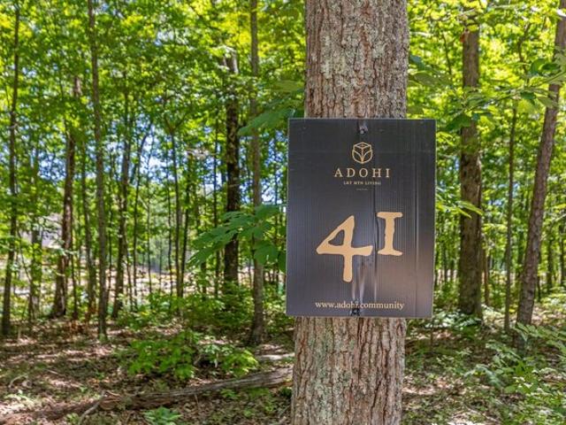 Land for sale in Rising Fawn, Georgia