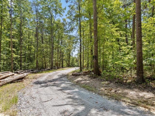 Land for sale in Georgia