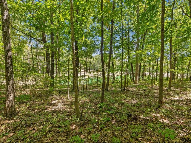 Land for sale in Georgia