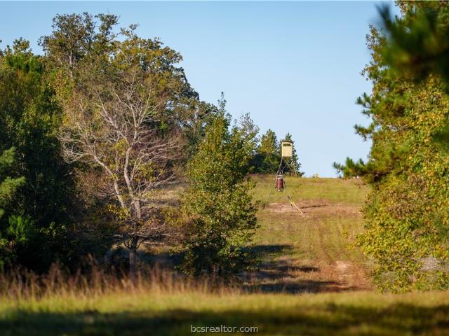 Land for sale in Leon, Texas