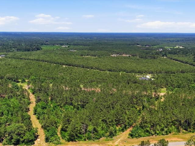 Land for sale in Willis, Texas
