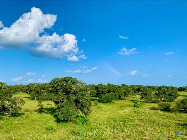 Farm for sale in Dewitt, Texas